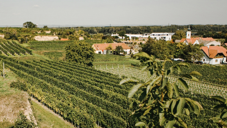 Der Stiftsinnenhof des Benediktinerstiftes Melk